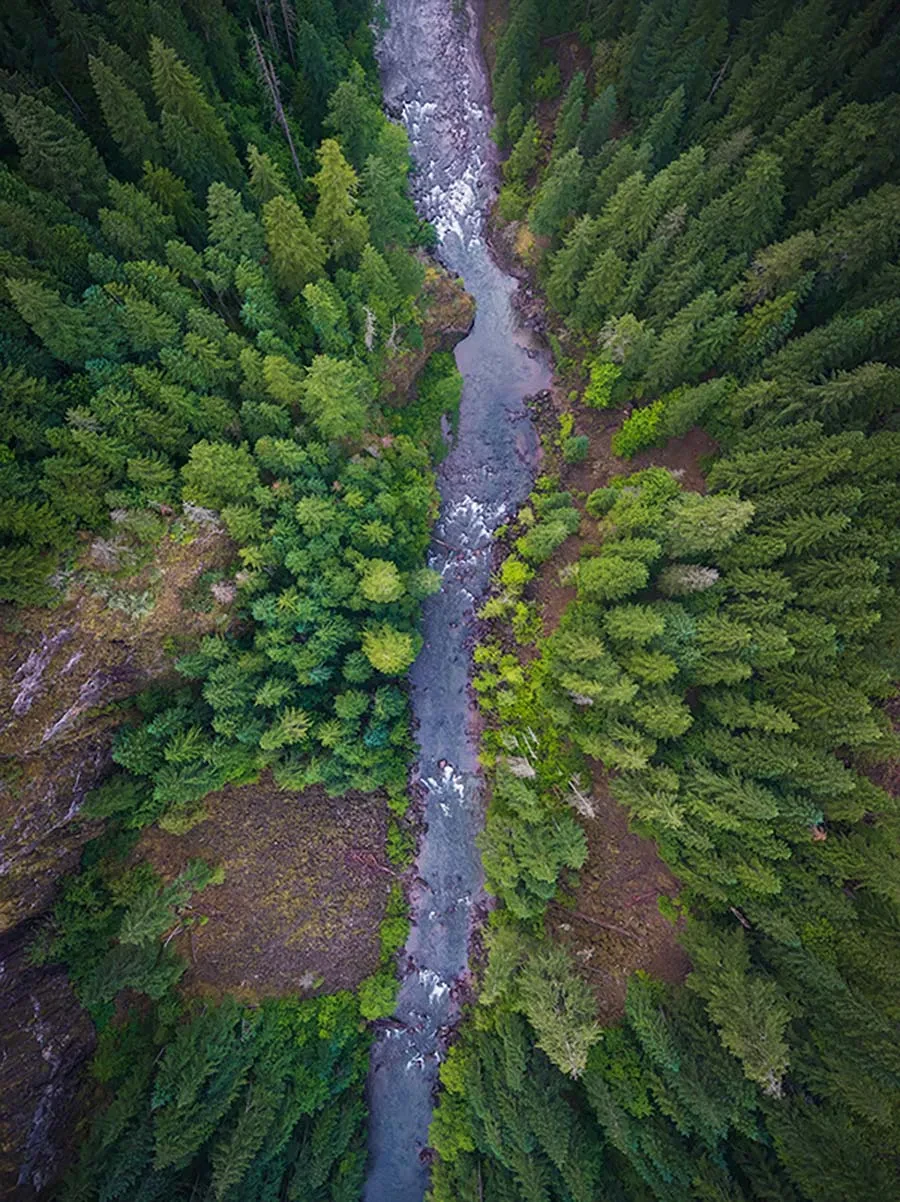 Aventura Aérea de Oregon por Michael Shainblum